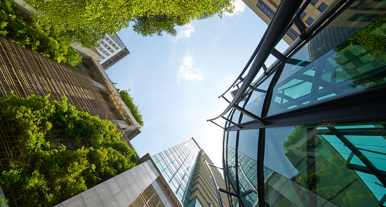 Quando gli edifici sono davvero verdi ed ecosostenibili